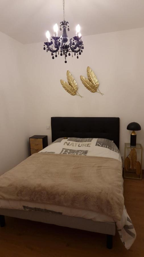 רואן Appartement Cosy Centre Ville מראה חיצוני תמונה